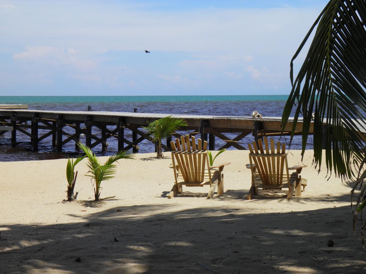 Sabal Beach Hotel Monkey River Town Exterior photo